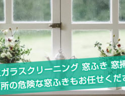 窓ふき 窓ガラスクリーニング 窓掃除 東京